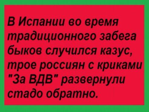 В Испании во время традиционного забега быков случился казус трое россиян с криками За вдв развернули стадо обратно