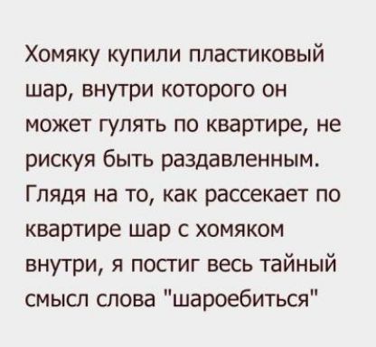 Хомяку купили пластиковый шар внутри которого он может гулять по квартире не рискуя быть раздавленным Глядя на то как рассекает по квартире шар с хомяком внутри я постиг весь тайный смысл слова шароебиться