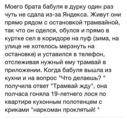Моего брата бабуля в дурку один раз чуть не сдала из за Яндекса Живут они прямо рядом с остановкой трамвайной так что он оделся обупоя и прямо в куртке сел в коридоре на пуф зима на улице не хотелось мерзнуть На остановке и уставился в телефон отслеживая нужный ему трамвай в приложении Когда бабуля вышла из кухни и на вопрос Что делаешь получила ответ Трамвай жду она полчаса гоняла 19 летнего лося