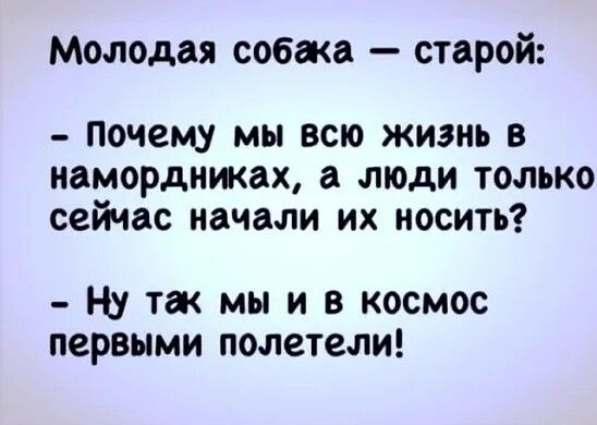 Молодая собжа старой Почему мы всю жизнь в намордниках а люди только сейчас начали их носить Н_у тж мы и в космос первыми полетели