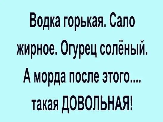 Водка горькая Сало жирное Огурец солёный А морда после этого такая ДОВОЛЬНАЯ