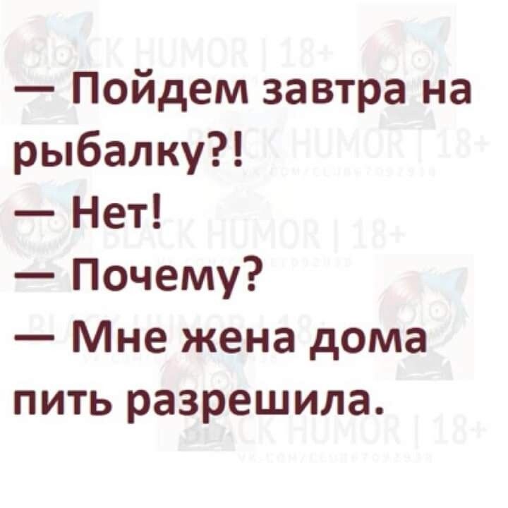 Пойдем завтра на рыбалку Нет Почему Мне жена дома пить разрешила