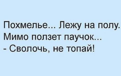 Похмелье Лежу на полу Мимо ползет паучок Сволочь не топай