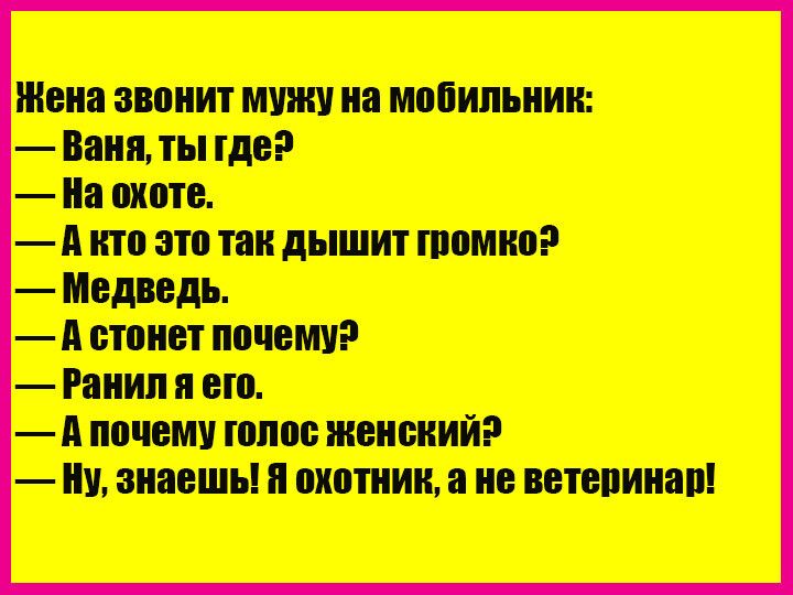 Позвонить жене. Жена звонит мужу Ваня ты где на охоте. Жена звонит мужу. Жена звонит мужу жена звонит мужу. Жена звонит мужу на мобильник Ваня ты где.