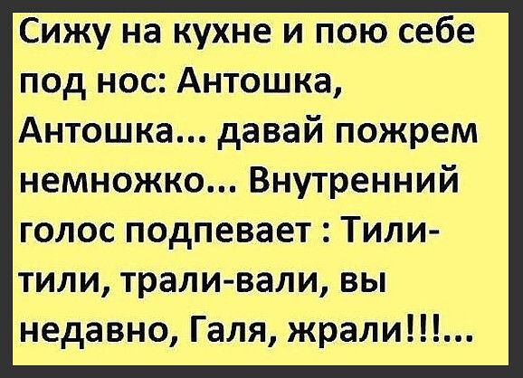 Сижу на кухне и пою себе под нос Антошка Антошка давай пожрем немножко Внутренний голос подпевает Тили тили траливали вы недавно Галя жрали