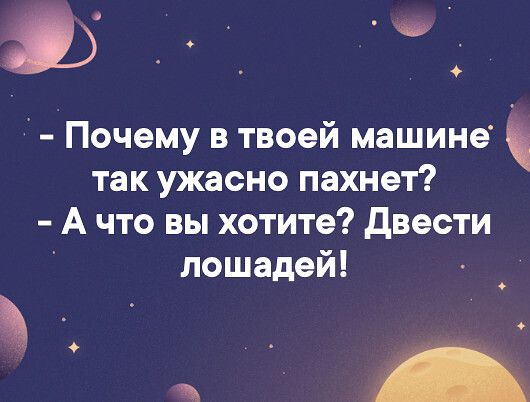 Почему в твоей машине так ужасно пахнет А что вы хотите двести лошадей л
