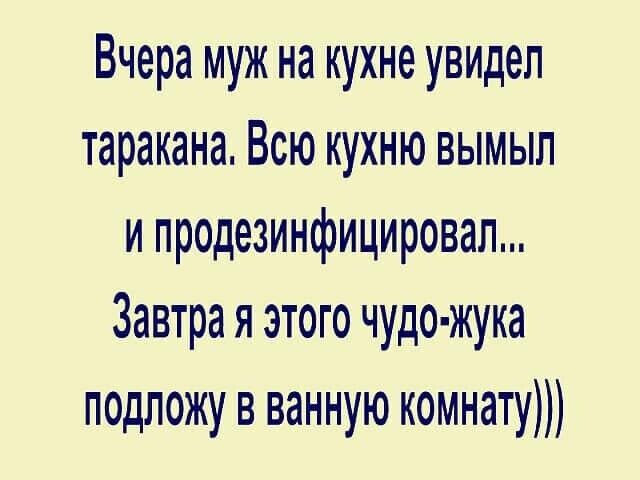 Вчера муж на кухне увидел таракана Всю кухню вымыл и продезинфицировал Завтра я этого чудо жука подложу в ванную комнату