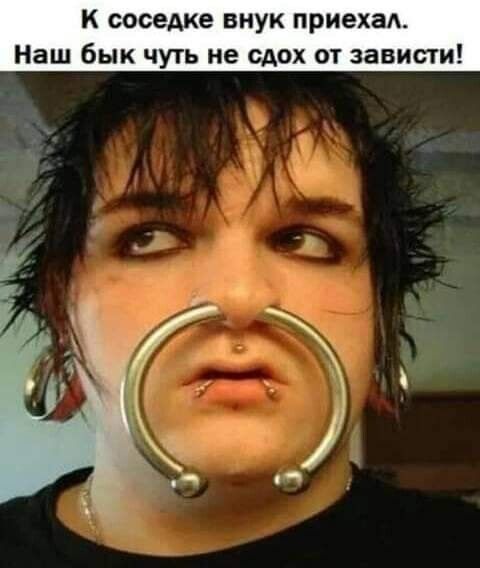 к соседке внук приехал Наш бык чуть не сдох от зависти