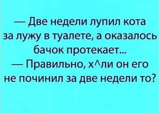 Две недели лупил кота за лужу в туалете а оказалось бачок протекает Правильно хли он его не починил за две недели то