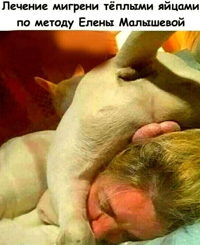 Лечение мигрени тёплыми яйцами по методу Елены Малышевой