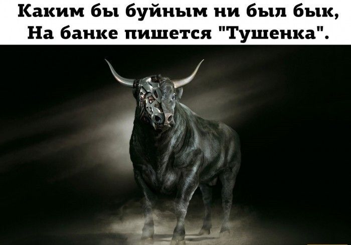 Каким бы буйным ни был бык На банке пишется Тушенка