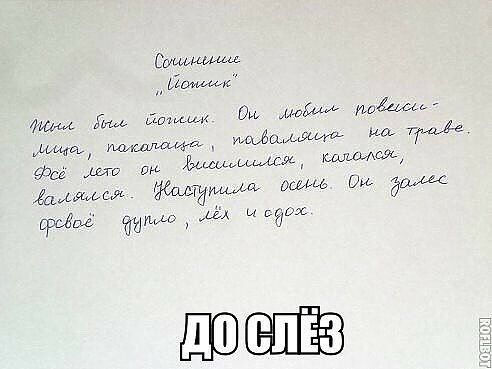 Стимми мл 4 иь Шпиц Ош мим и щимфдиа иа 7711 фт дис ть Жэщиьиисцщ ими атомами АТИМФ дшшь м эмм