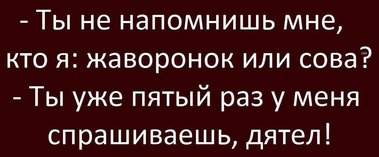 Ты не напомнишь мне кто я жаворонок или сова Ты уже пятый раз у меня спрашиваешь дятел