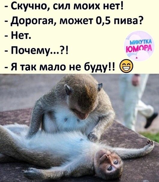 Скучно сил моих нет дорогая может 05 пива Нет Почему юдаііг Я так мало не бі_ Г