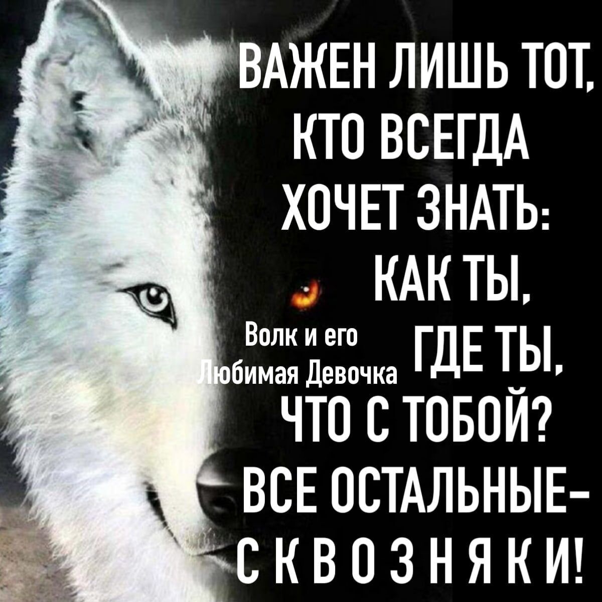 ВАЖЕН ЛИШЬ ТОТ КТО ВСЕГДА ХОЧЕТ ЗНАТЬ КАК ТЫ Волкиего ГДЕ ТЫ бимая Девочка ЧТО С ТОБОЙ
