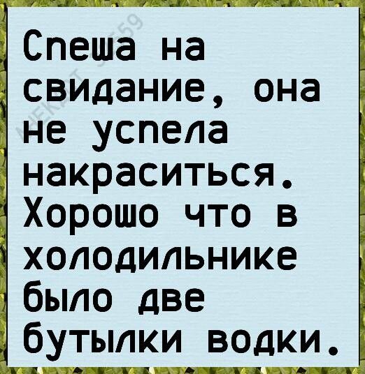 Спеша на свидание она не успела накраситься Хорошо что в холодильнике было две бутылки водки