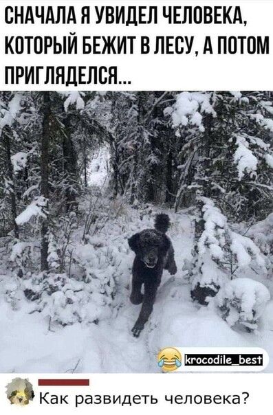 СНАЧАЛА Я УВИДЕЛ ЧЕЛОВЕКА КОТОРЫЙ БЕЖИТ В ЛЕСУ А ПОТОМ ПРИГЛНДЕЛВН Кгпсайе_Ье5 _ Как развидеть человека