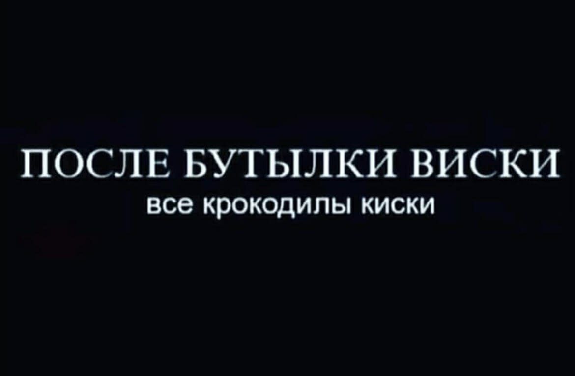 ПОСЛЕ БУТЫЛКИ ВИСКИ ВСВ крокодилы КИСКИ