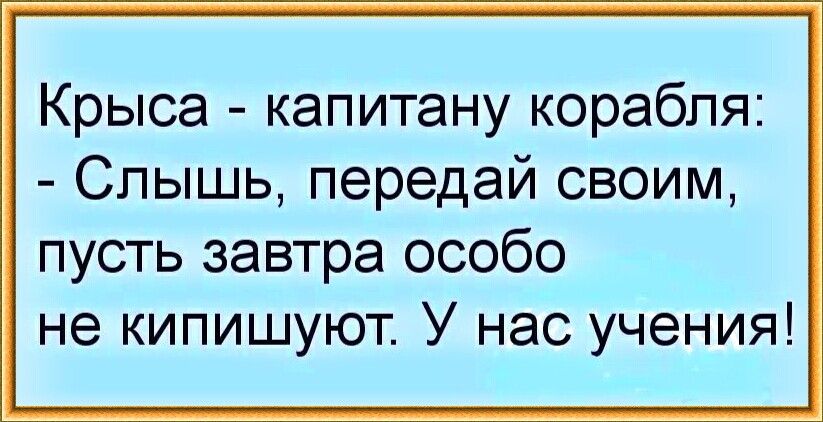Крыса капитану корабля Слышь передай своим пусть завтра особо не кипишуют У нас учения