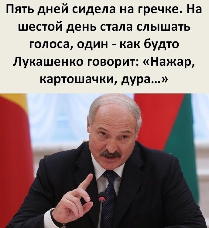 Пять дней сидела на гречке На шестой день стала слышать голоса один как будто Лукашенко говорит Нажар картошачки дура