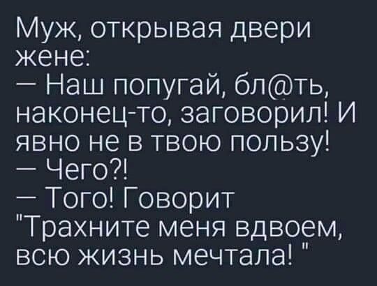 Муж открывая двери жене Наш попугай блть наконец то заговорил И явно не в твою пользу Чего Того Говорит Трахните меня вдвоем всю жизнь мечтала