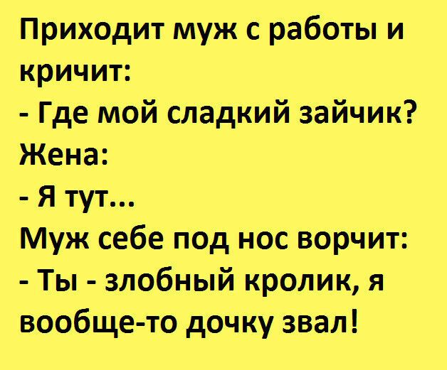Приходит муж с работы и кричит Где мой сладкий зайчик Жена Я тут Муж себе под нос ворчит Ты злобный кролик я вообще то дочку звал