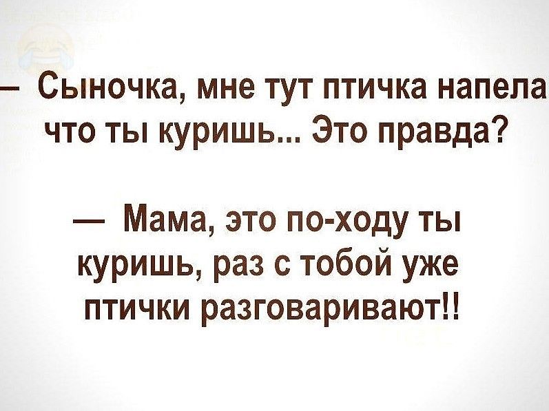 Сыночка мне тут птичка напепа что ты куришь Это правда Мама это по ходу ты куришь раз с тобой уже птички разговариваютЦ
