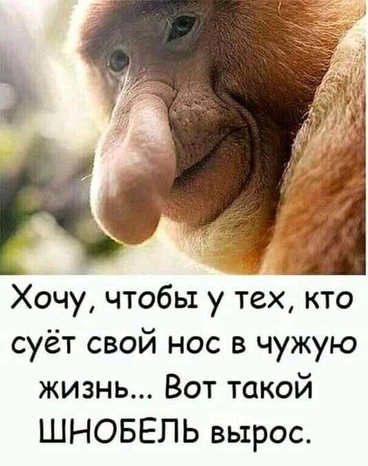 Хочу чтобы у тех кто суёт свой нос в чужую жизнь Вот такой ШНОБЕЛЬ вырос