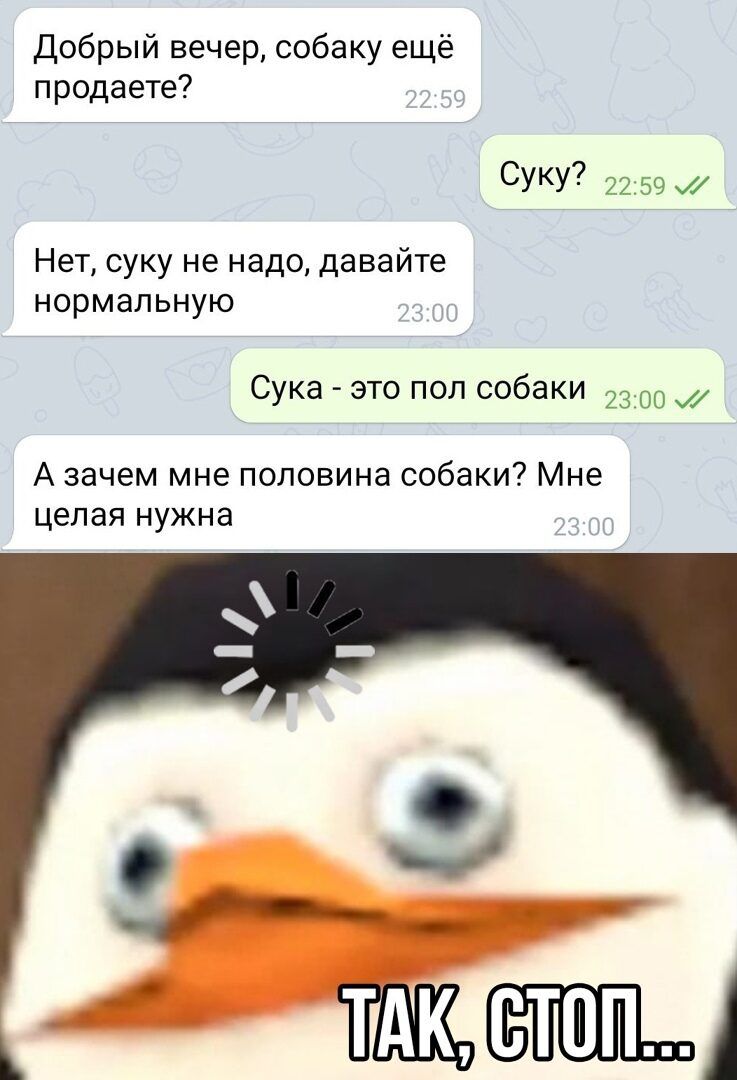Добрый вечер собаку ещё продаете СУКУ 22 59 Нет суку не надо давайте нормальную Сука это пол собаки 23 00 А зачем мне половина собаки Мне целая нужна