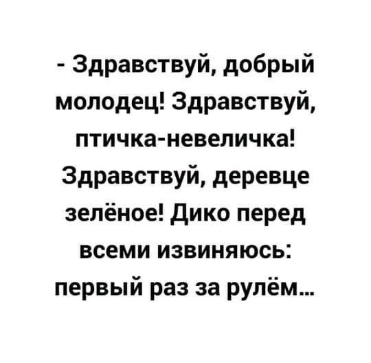 Здравствуй добрый молодец Здравствуй птичка невеличка Здравствуй деревце зелёное дико перед всеми извиняюсь первый раз за рулём