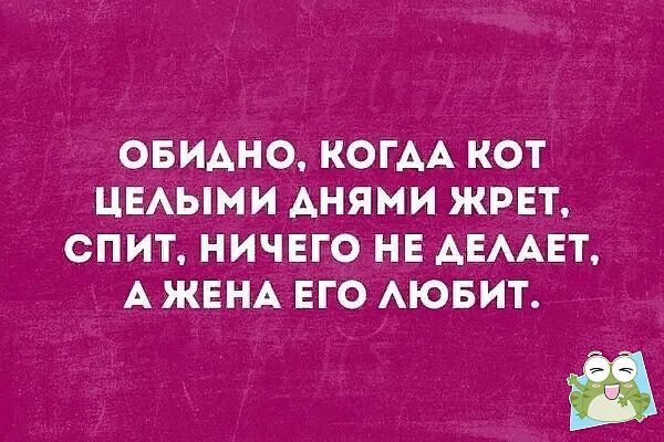 ОБИАНО КОГАА КОТ ЦЕАЫМИ АНЯМИ ЖРЕТ СПИТ НИЧЕГО НЕ АЕААЕТ А ЖЕНА ЕГО АЮБИТ