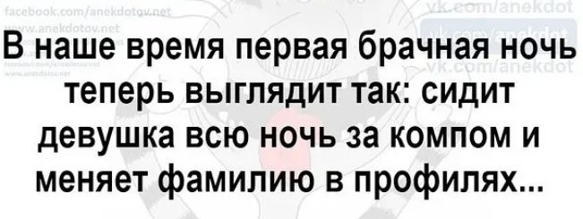 В наше время первая брачная ночь теперь выглядит так сидит девушка всю ночь за компом и меняет фамилию в профилях