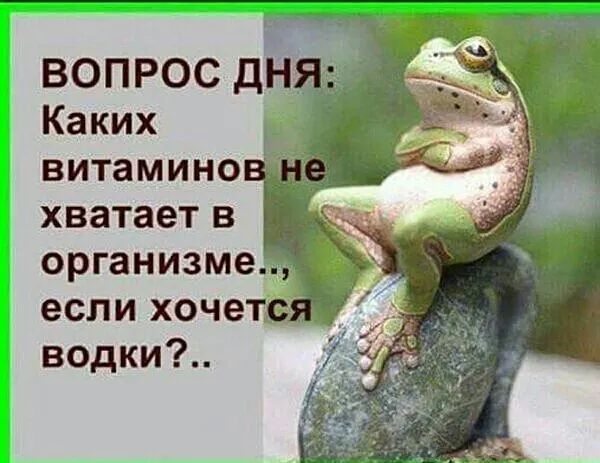 ВОПРОС д Каких витамино хватает в организме если хоче водки