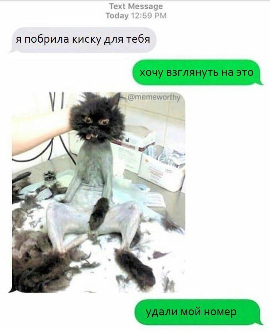 Техі Меээазе Тоаау 2 я побрила киску для тебя тстешоппу