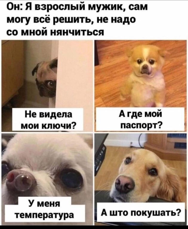Он Я взрослый мужик сам могу всё решить не надо со мной нянчиться _ А Не видела А где мой мои клюіи паспорт А што покушать температура