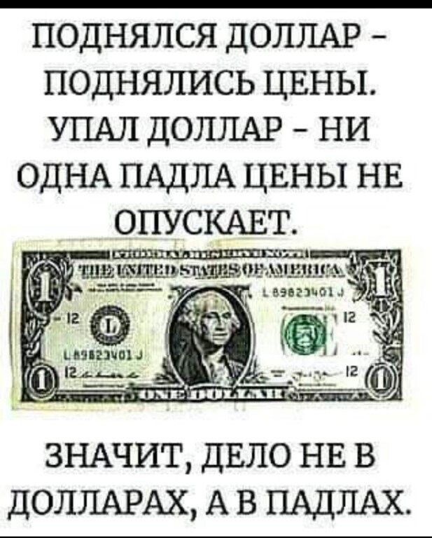 ПОДНЯЛСЯ ДОЛЛАР ПОДНЯЛИСЬ ЦЕНЫ УПАЛ ДОЛЛАР НИ ОДНА ПАДЛА ЦЕНЫ НЕ ОПУСКАЕТ ЗНАЧИТ ДЕЛО НЕ В ДОЛЛАРАХ А В ПАДЛАХ