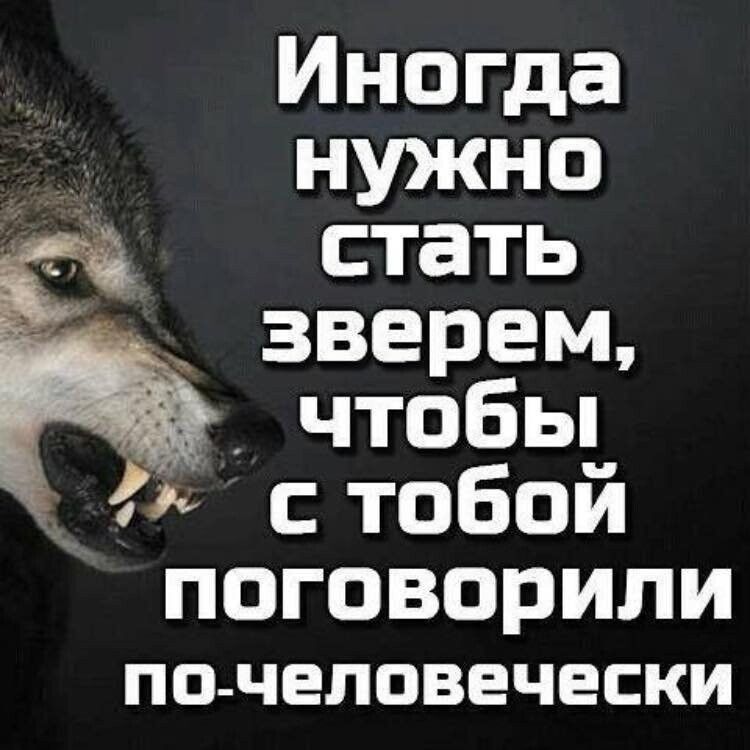 Инопда ъцпкно стать зверем чтобьп стобой поговорили ПО ЧЕЛОВЕЧЕСКИ