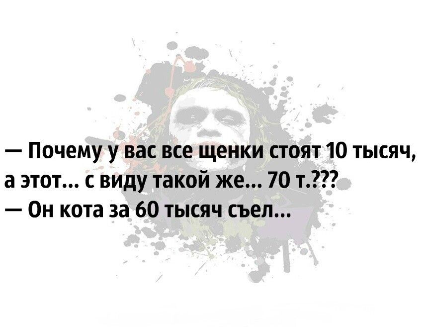 Почему у вас все щенки стоят 10 тысяч а этот с виду такой же 70 т Он кота за 60 тысяч съел