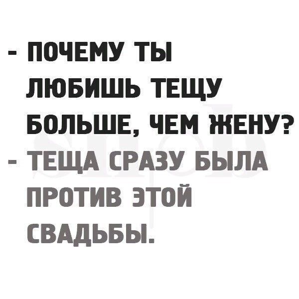 ПОЧЕМУ ТЫ ЛЮБИШЬ ТЕЩУ БОЛЬШЕ ЧЕМ ЖЕНУ ТЕЩА СРАЗУ БЫЛА ПРОТИВ ЭТОЙ СВАДЬБЫ