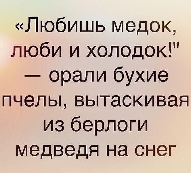 Любишь медок люби и холодок орали бухие пчелы вытаскивая из берлоги медведя на снег