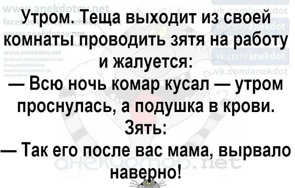 Утром Теща выходит из своей комнаты проводить зятя на работу и жалуется Всю ночь комар кусал утром проснулась а подушка в крови Зять Так его после вас мама вырвало нават