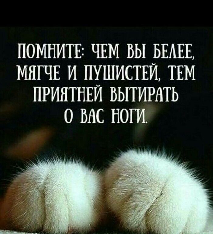 ПОМНИТЕі ЧЕМ ВЫ БЕАЕЕ МНГЧЕ И ПУШИСТЕЙ ТЕМ ПРИЯТНЕЙ ВЫТИРАТЬ 0 ВАС НОГИ