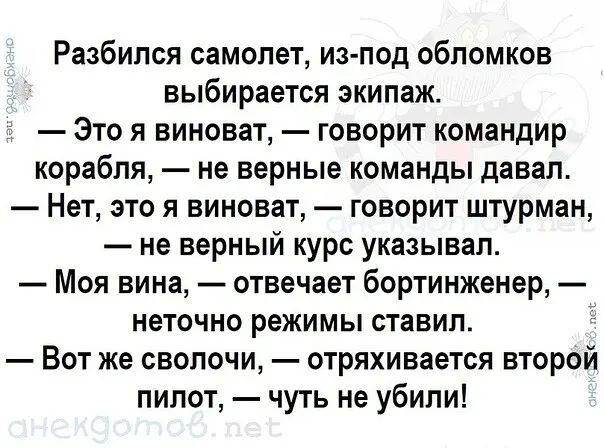 Разбился самолет из под обломков выбирается экипаж Это я виноват говорит командир корабля не верные команды давал Нет это я виноват говорит штурман не верный курс указывал Моя вина отвечает бортинженер неточно режимы ставил Вот же сволочи отряхивается второй пилот чуть не убили