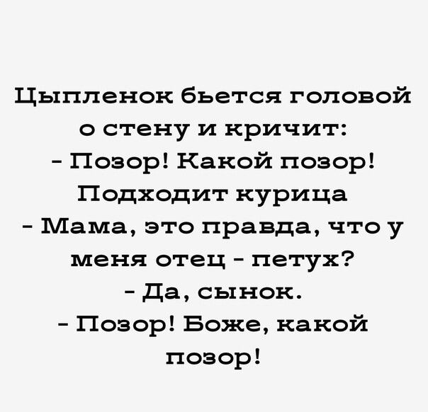 Цыпленок бьется головой о стену и кричит Позор Какой позор Подходит курица Мама это правда что у меня отец петух Да сынок Позор Боже какой позор