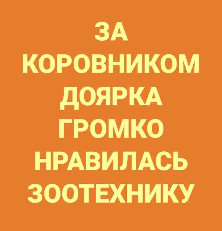 КОРОВНИКОМ ГРОМКО НРАВИЛАСЬ ЗООТЕХНИКУ