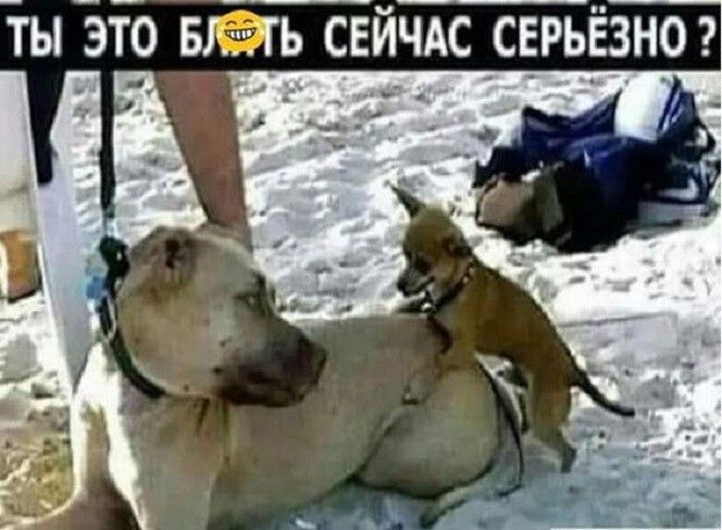 _ты Вт ыёггь свйчдс серьёзна