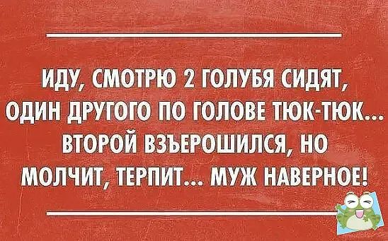 щ3 т Мишина шшшичш