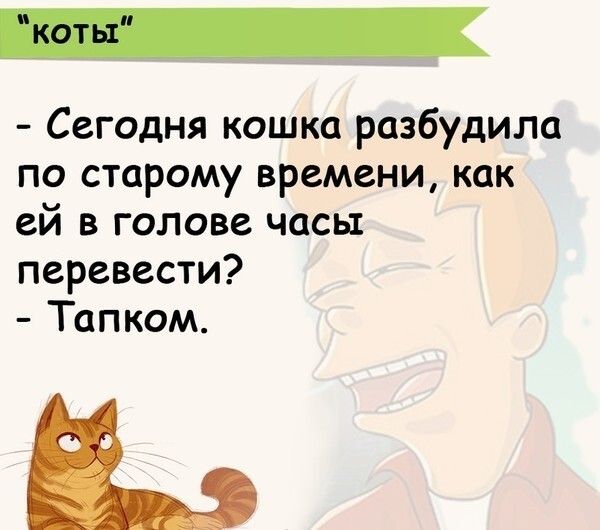 Сегодня кошка разбудила по старому времени как ей в голове часы перевести Тапком