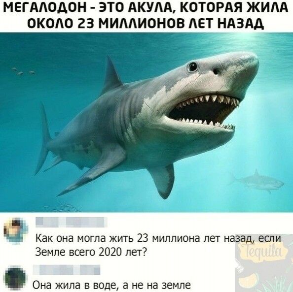 МЕГААОДОН ЭТО АКУЛА КОТОРАЯ ЖИАА ОКОАО 23 МИААИОНОВ АЕТ НАЗАД Как она могла жить 23 миллиона лет назад если Земле всего 2020 лет она жила В ВОДЕ НЕ на ЗЕМЛЕ