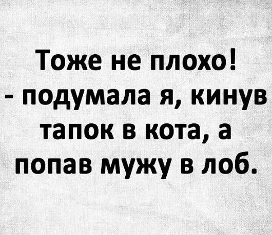 Тоже не плохо подумала я кинув тапок в кота а попав мужу в лоб